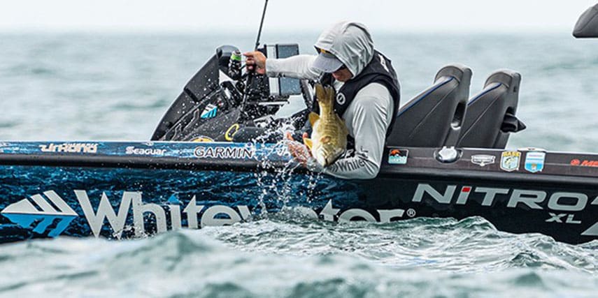 Fisherman landing big Smallmouth Bass