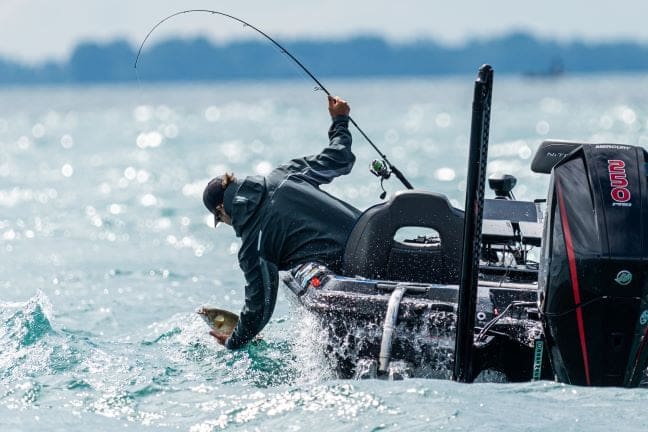 jay fishing on lake st. clair