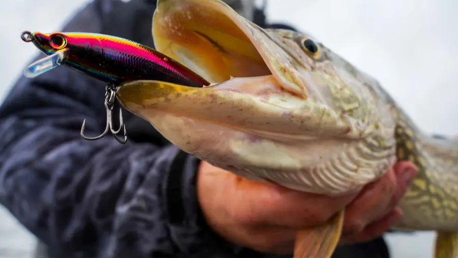 Light, Science And Better Fishing