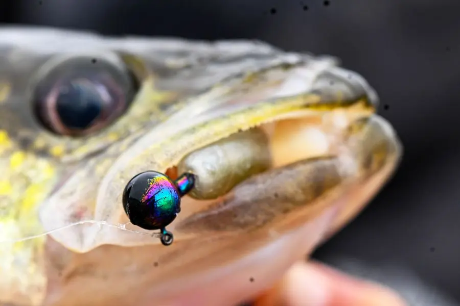 Light, Science And Better Fishing
