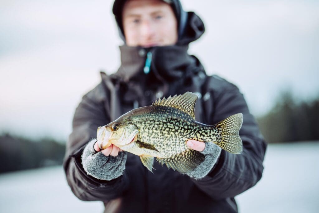 Urban Ice Fishing 101