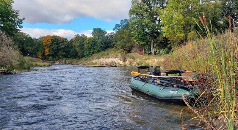 Are You Fishing The Wrong Fish?