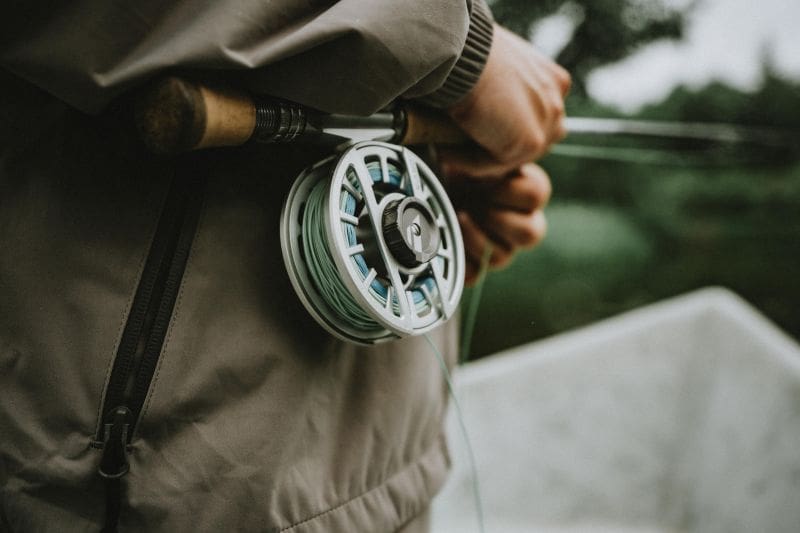 Are You Fishing The Wrong Fish?