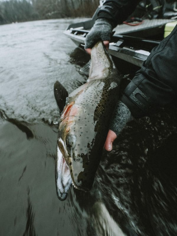 Are You Fishing The Wrong Fish?